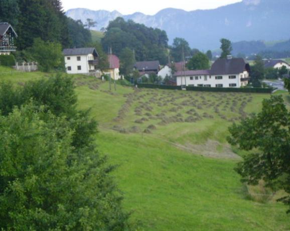 Bauernhof Kasleitner Villa Zell am Moos Exterior photo