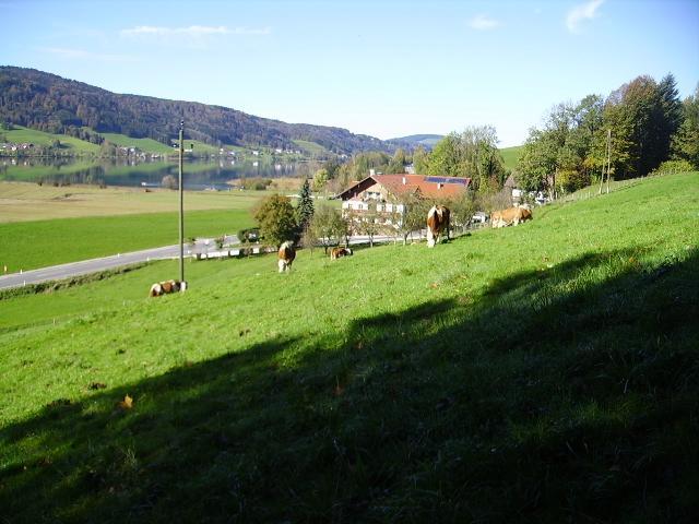 Bauernhof Kasleitner Villa Zell am Moos Exterior photo
